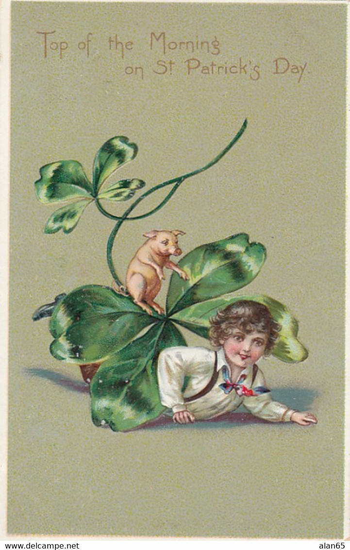 St. Patrick's Day, Boy With Pig, Top O' The Morning C1900s VintageTucks  Embossed Postcard - Saint-Patrick's Day