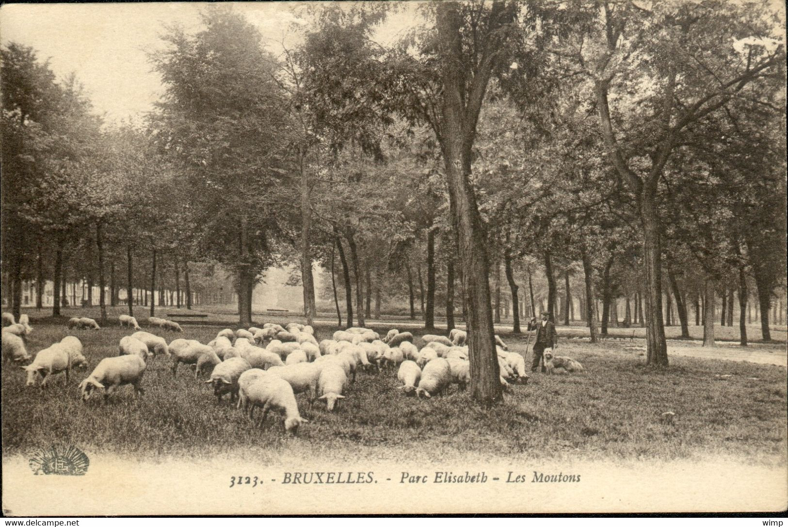 KOEKELBERG  : Parc Elisabeth - Les Moutons - Koekelberg