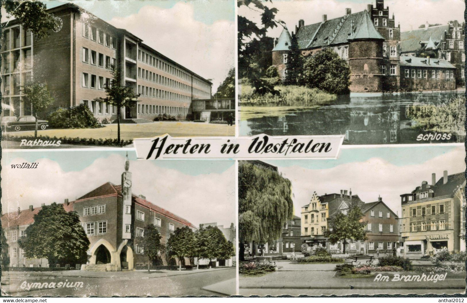 Rar Mehrbildkarte Herten I.W. Gymnasium Rathaus Opel Rekord Bramhügel 26.7.1962 - Herten