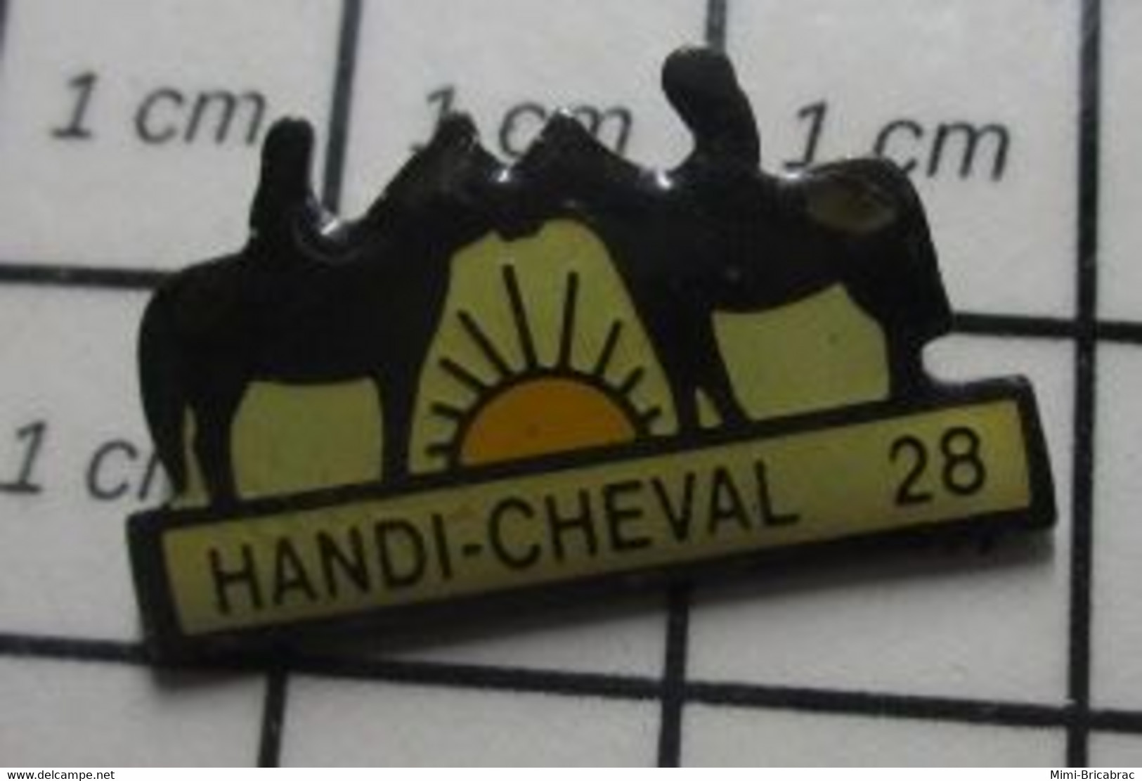 1222 Pin's Pins / Beau Et Rare / SPORTS / EQUITATION HANDI-CHEVAL 28 - Natation