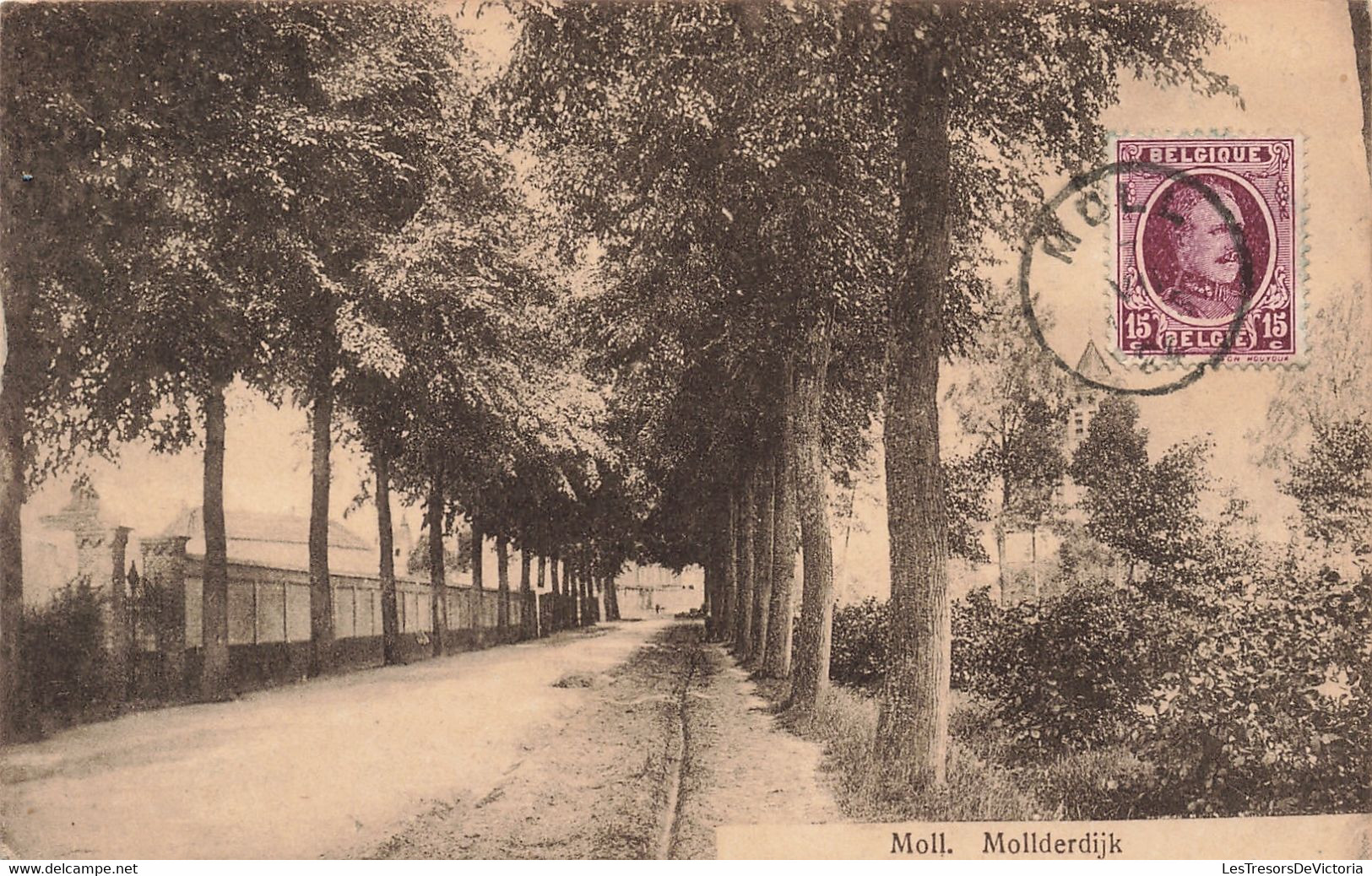 Belgique - Moll - Mollderdijk - Edit. Edm Emmers Van Bekhoven - Allée D'arbres - Carte Postale Ancienne - Mol