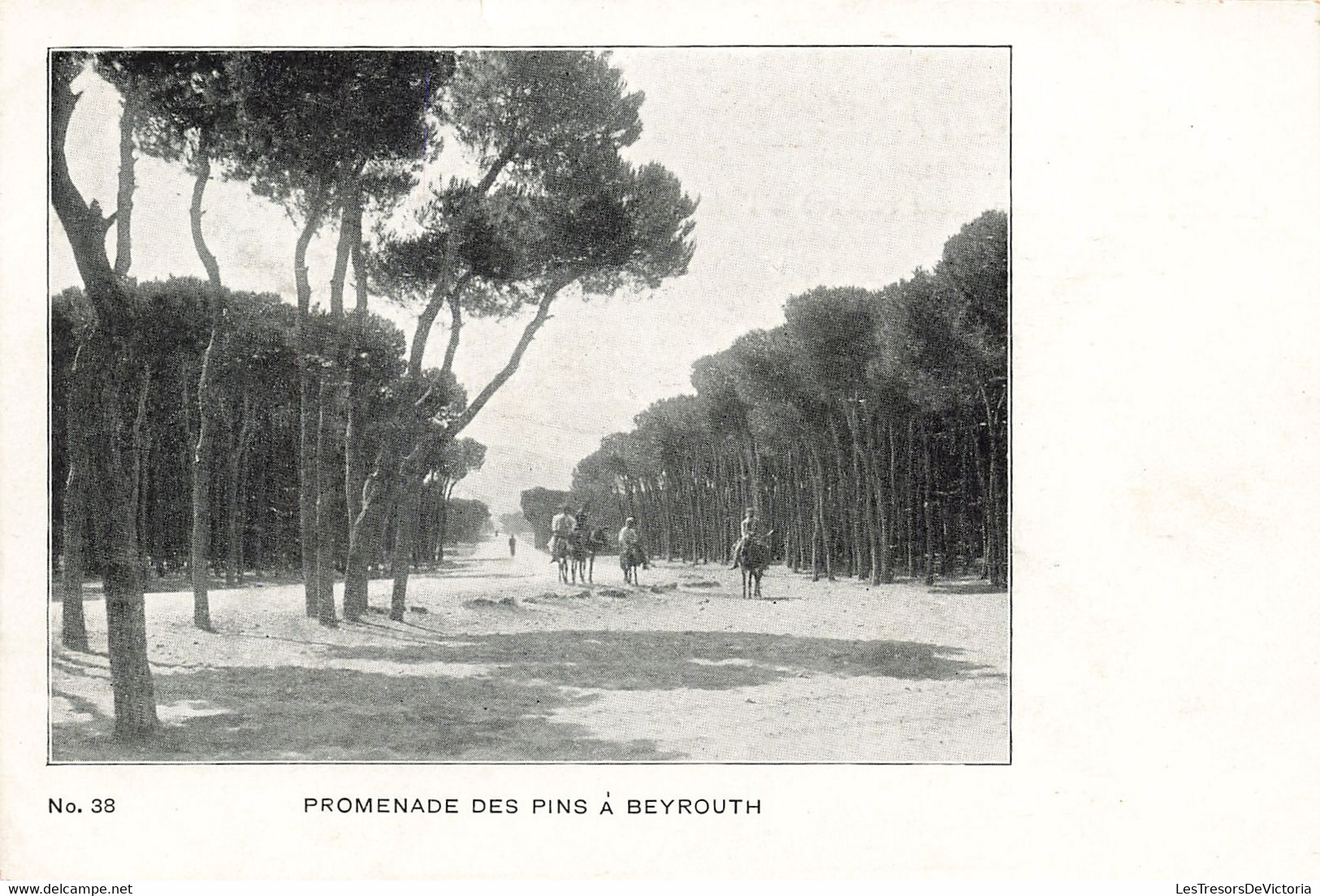 Liban - Beyrouth - Promenade Des Pins à Beyrouth - Précurseur - Animé - Cheval-  Carte Postale Ancienne - Líbano