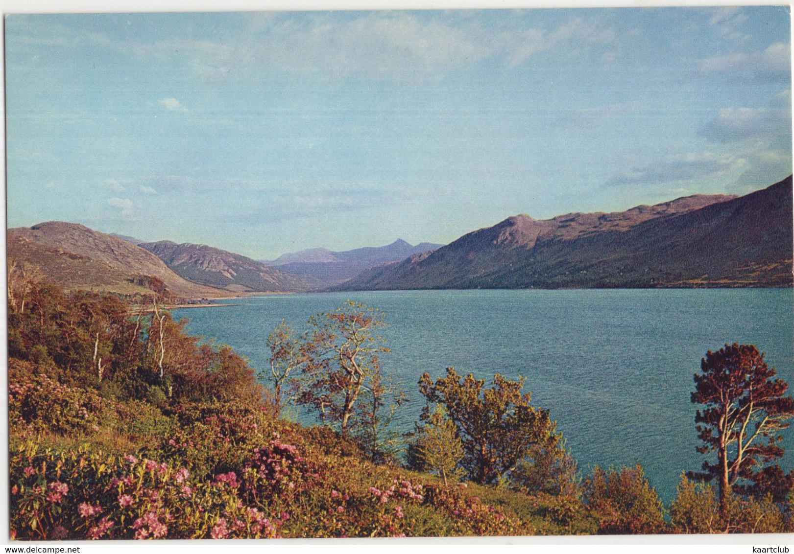 Loch Broom, Wester Ross -  (Scotland) - Ross & Cromarty