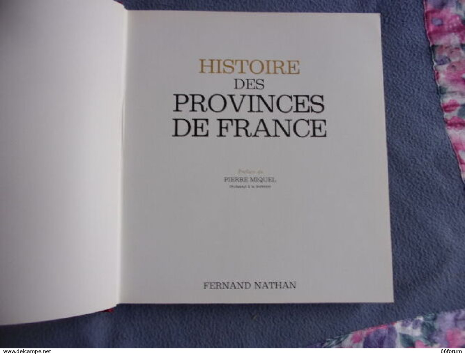 Histoire Des Provinces De France-Bourgogne-Dauphiné-Savoie-Dauphiné - Ohne Zuordnung