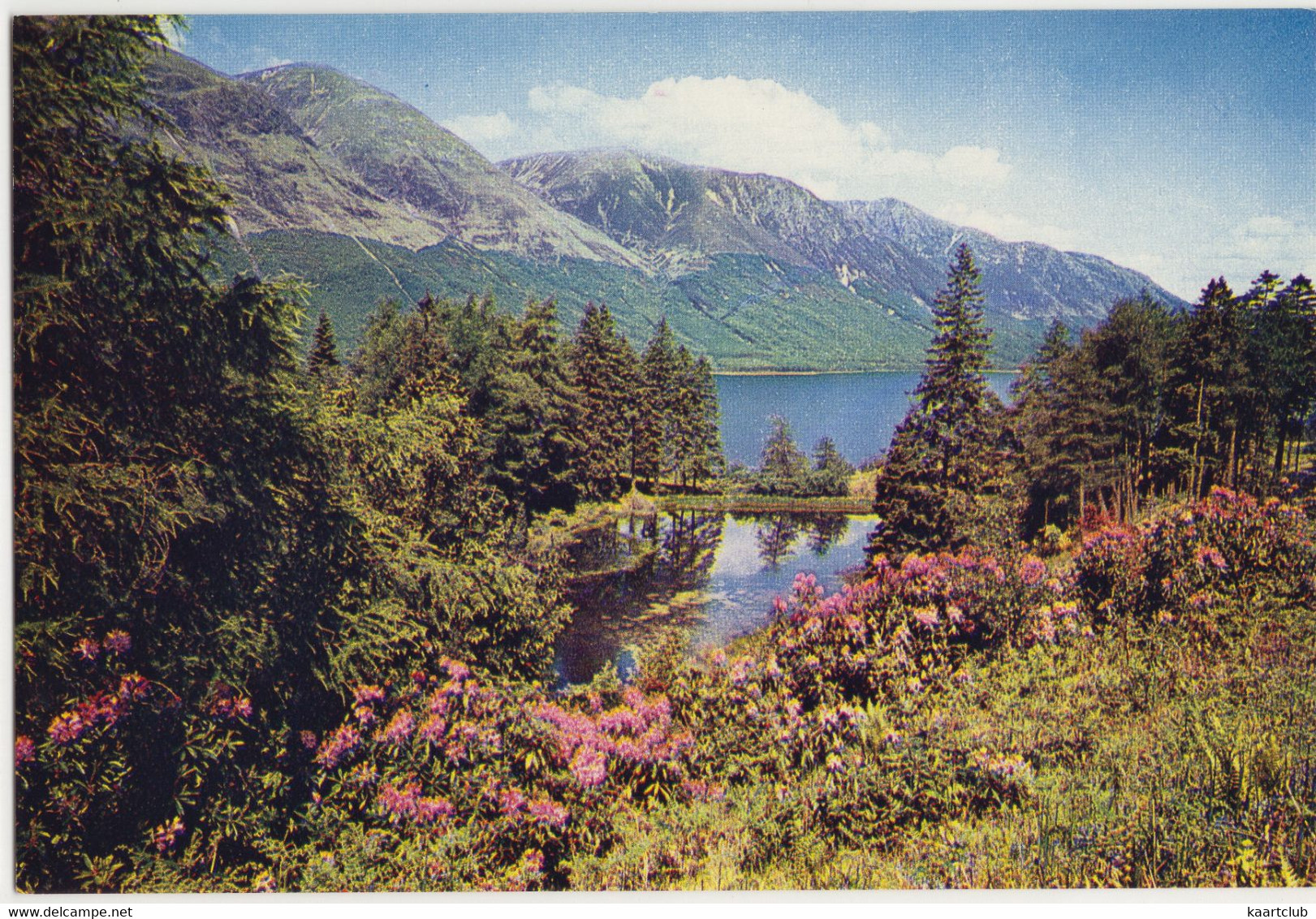 Loch Lochy, Inverness-shire  - (Scotland) - Inverness-shire