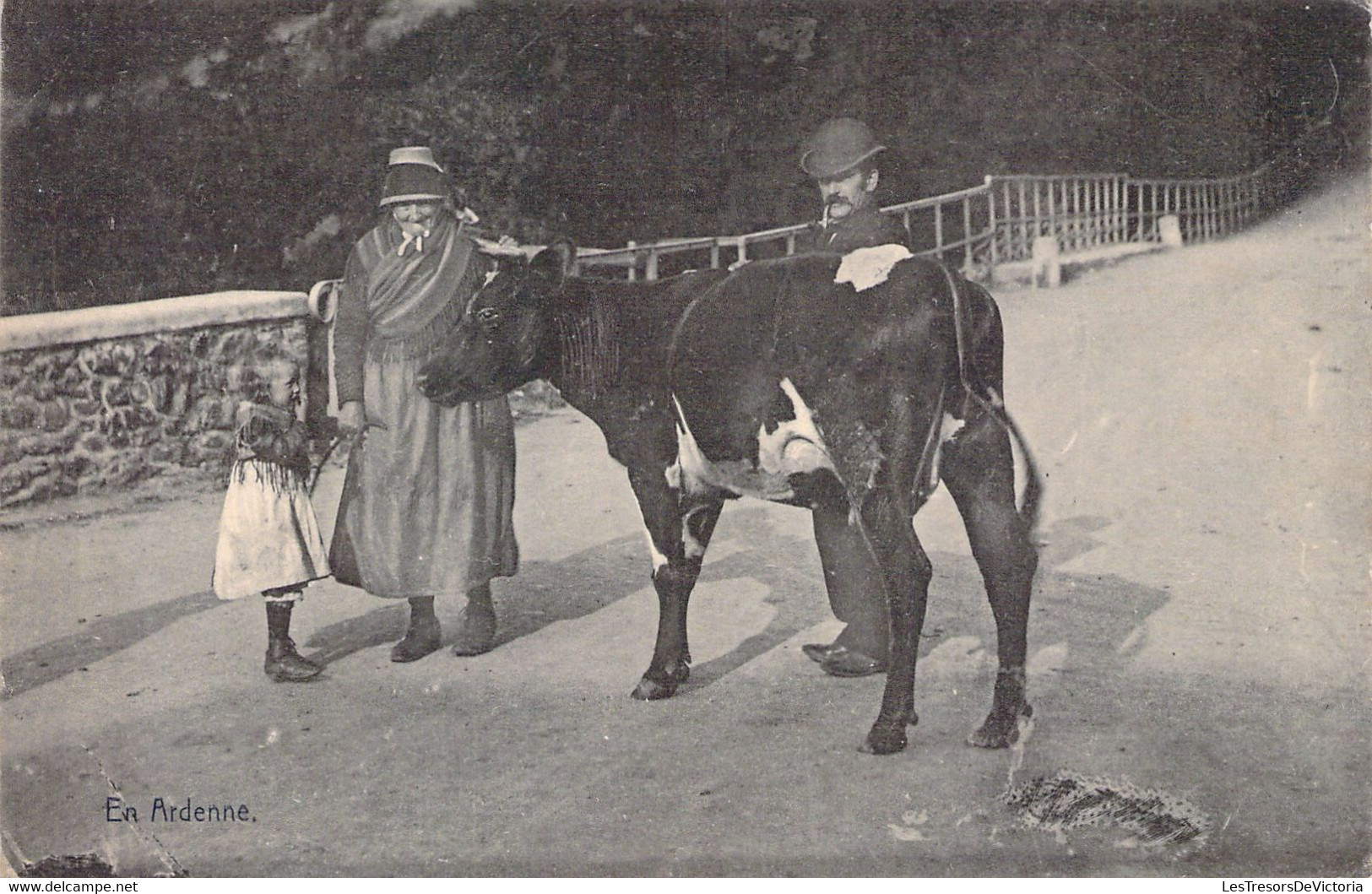 AGRICULTURE - Vieux Métier - En Ardenne - Eleveur Bovin - Vache - Grand Mère Et Petite Fille - Carte Postale Ancienne - Elevage