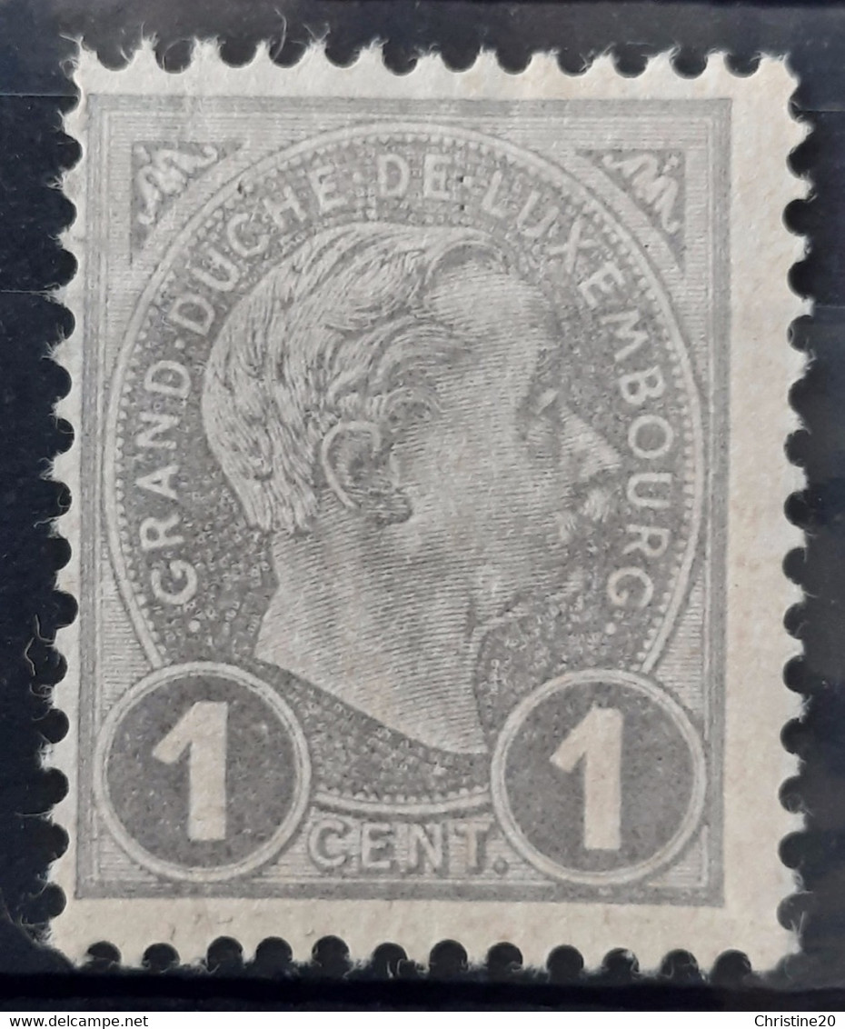 Luxembourg 1895 N°69 *TB Cote 5€ - 1895 Adolfo Di Profilo