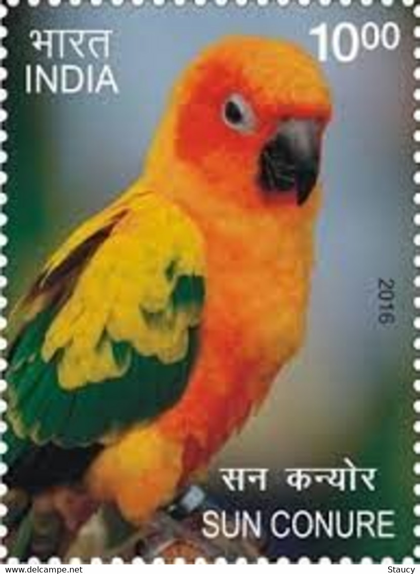 India 2016 Exotic Birds 1v Stamp MNH Macaw Parrot Amazon Crested, As Per Scan - Coucous, Touracos