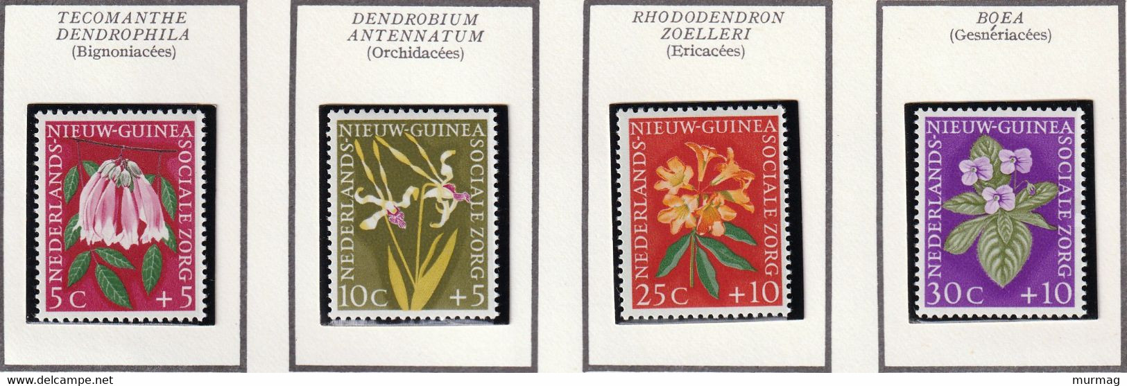 NOUVELLE GUINEE NEERLANDAISE - Fleurs, Orchidées, Ericacées - N° 52-55 6 1959 - MNH - Nueva Guinea Holandesa