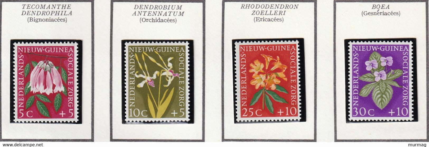 NOUVELLE GUINEE NEERLANDAISE - Fleurs, Orchidées, Ericacées - N° 52-55 6 1959 - MNH - Nederlands Nieuw-Guinea