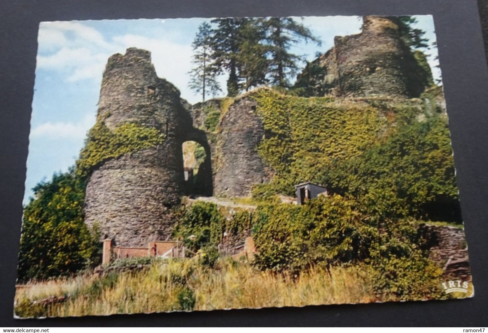 La Roche En Ardenne - Entrée Du Vieux Château - Ets. Anciens Ets. Ern. Thill, Bruxelles - La-Roche-en-Ardenne