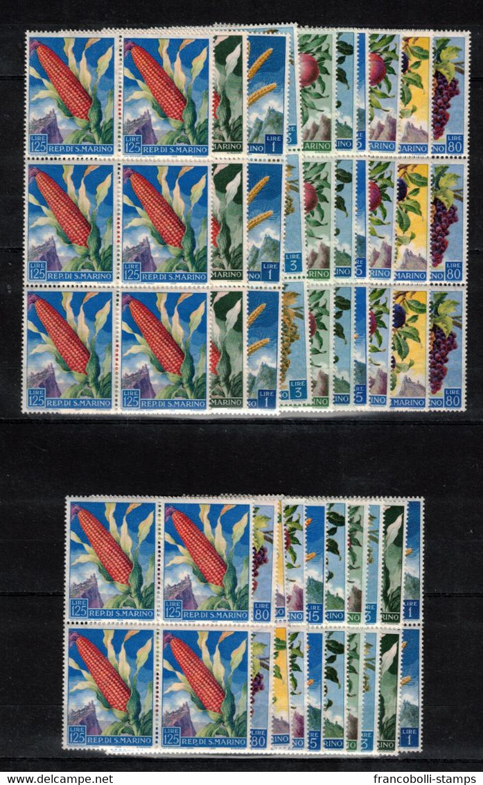 S34800 Dealer Stock San Marino 1958 MNH Fruit 10v (X10 Sets). - Collections, Lots & Séries