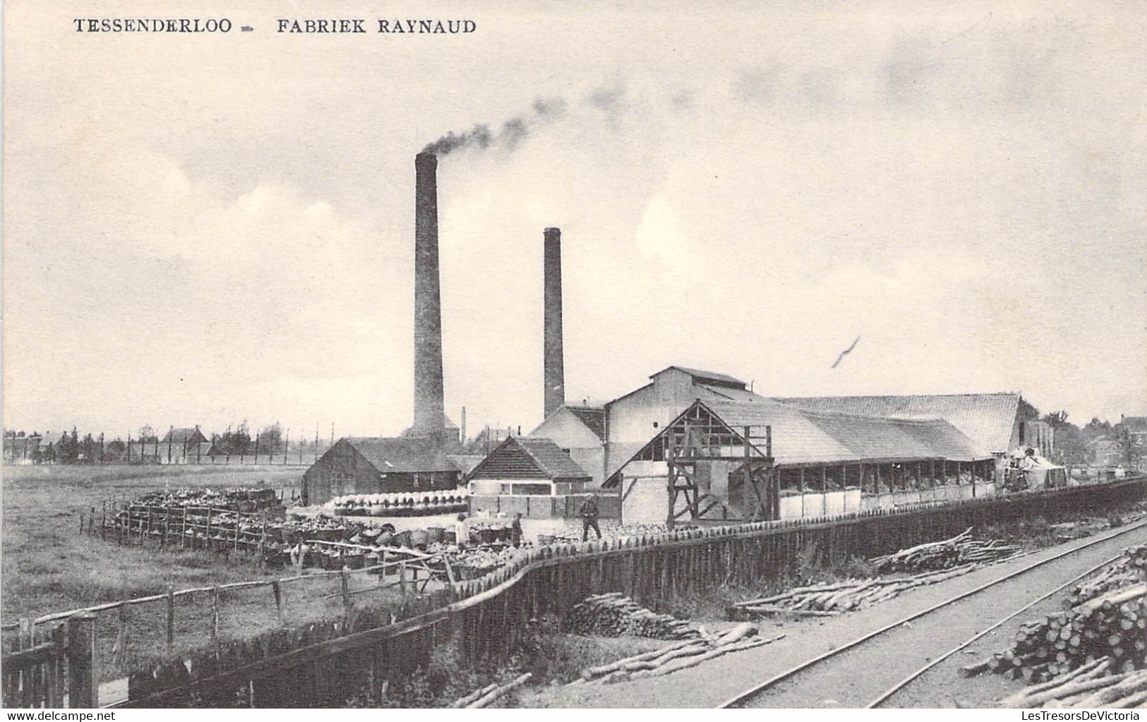 Belgique - Tessenderloo - Fabriek Raynaud - Edit. J. Verachtert En J. Feyen - Animé - Carte Postale Ancienne - Hasselt