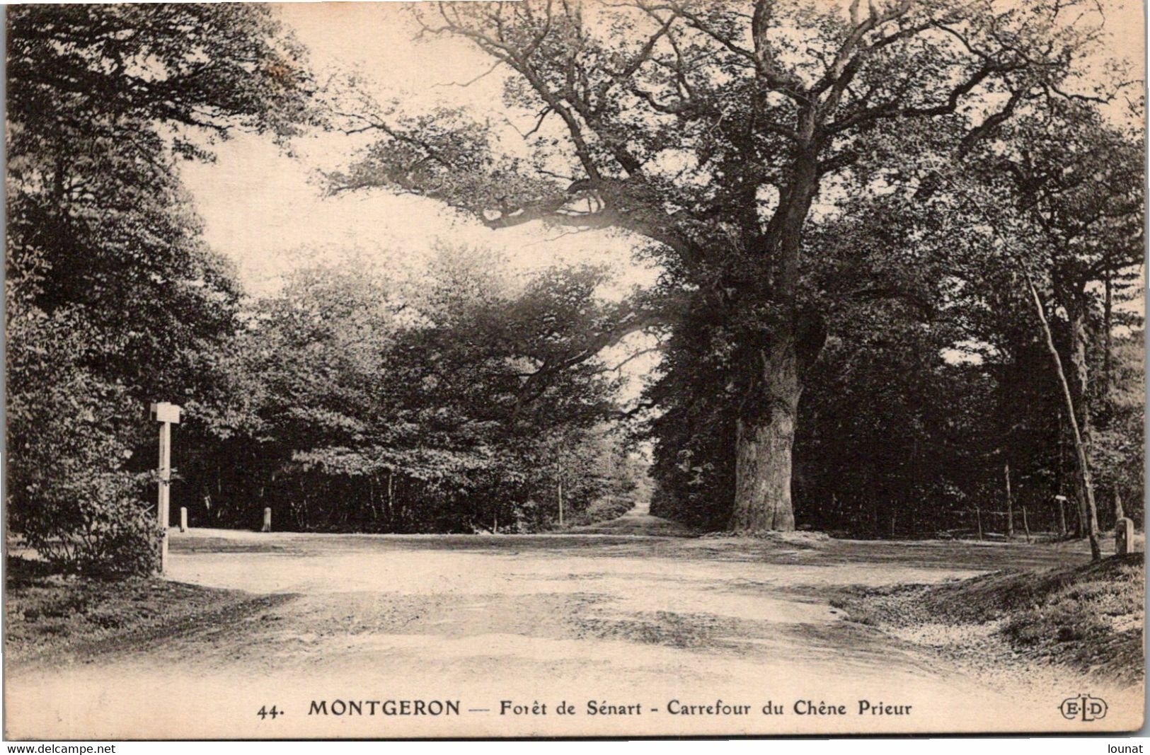 91 MONTGERON - Forêt De Sénart - Carrefour Du Chêne Prieur - Montgeron