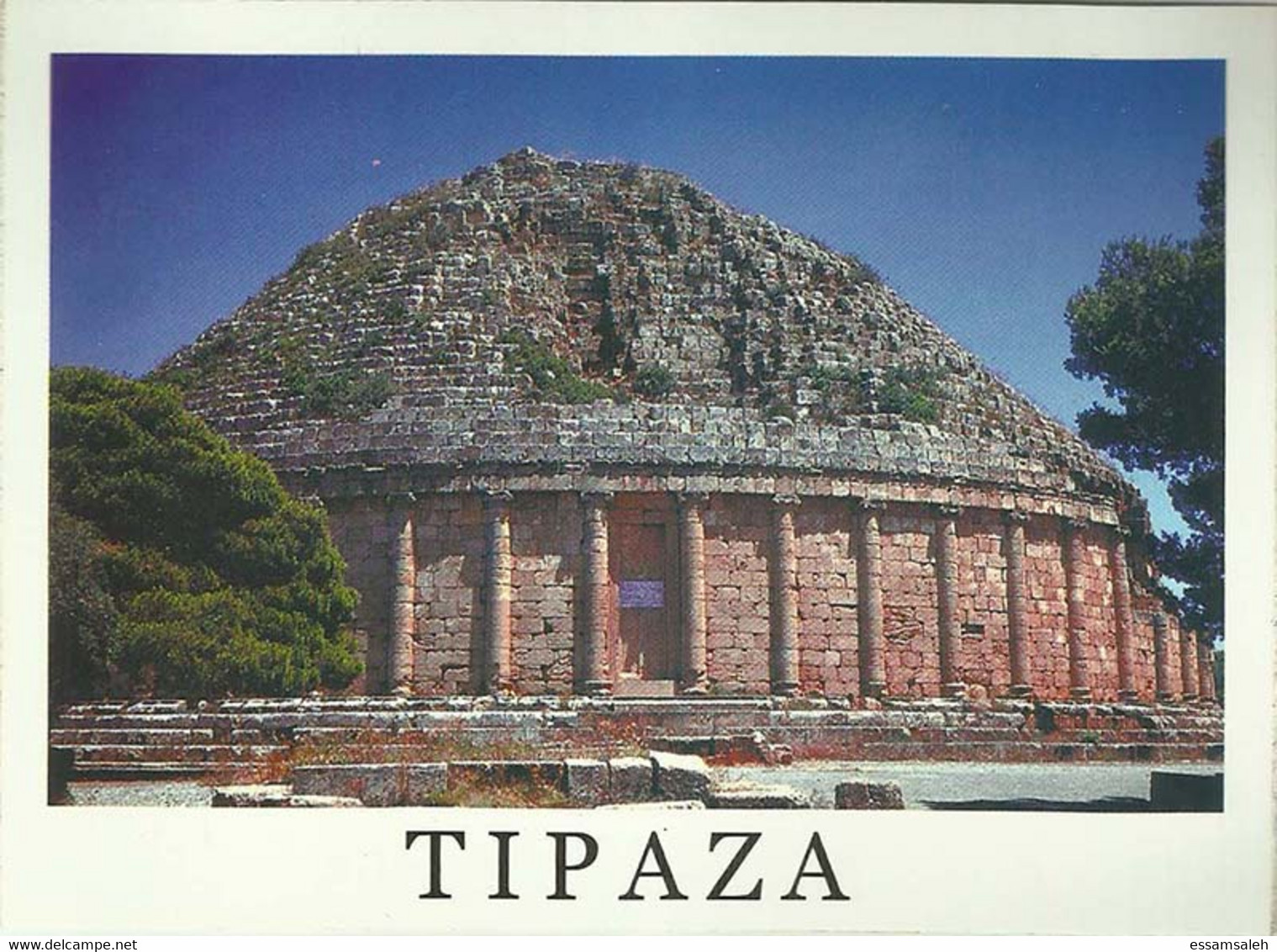 DZP10501 Algérie Algerie Algeria Tipaza / CPM Postcard - Tebessa