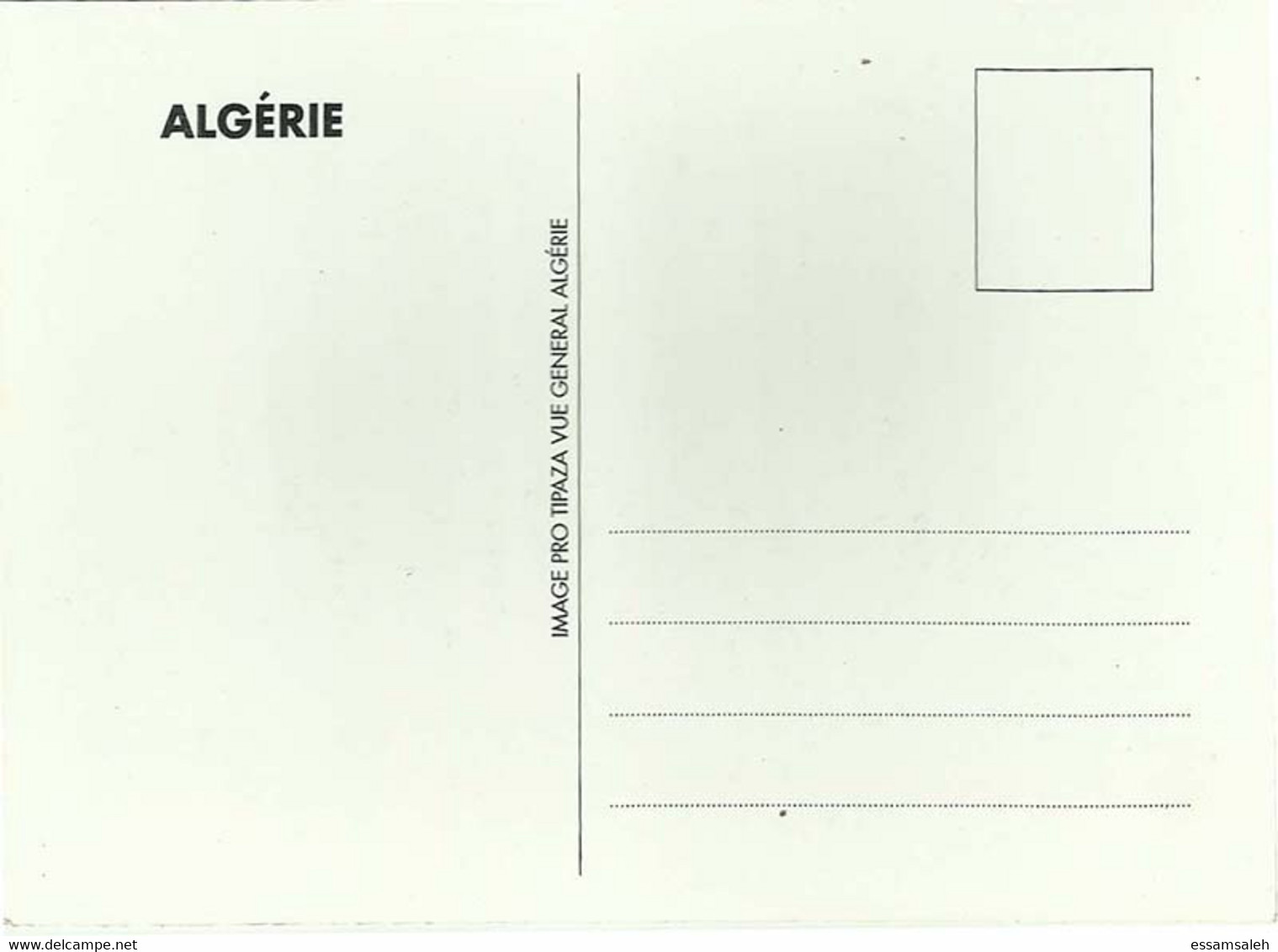 DZP10501 Algérie Algerie Algeria Tipaza / CPM Postcard - Tebessa
