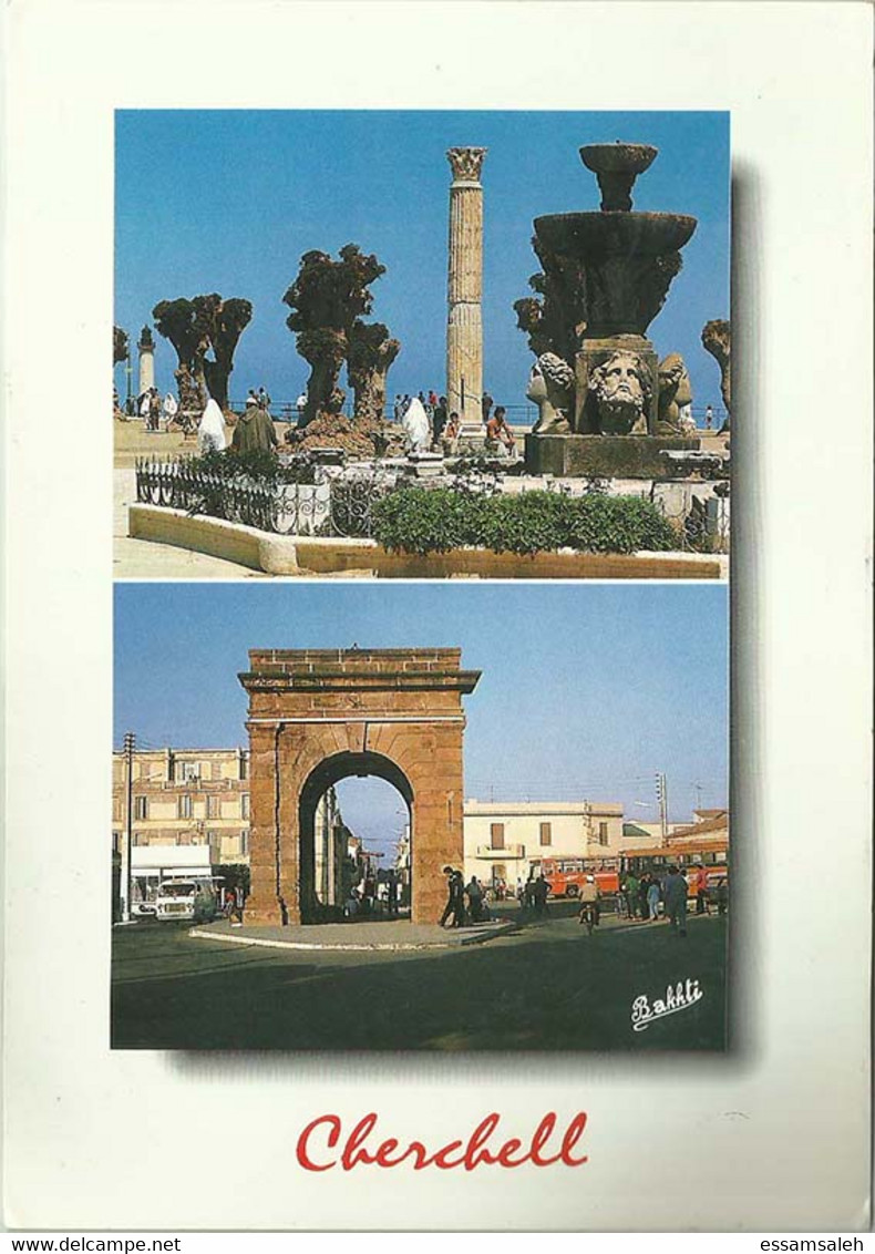 DZP10506 Algérie Algeria Tipaza Charchell / CPM Postcard - Tebessa