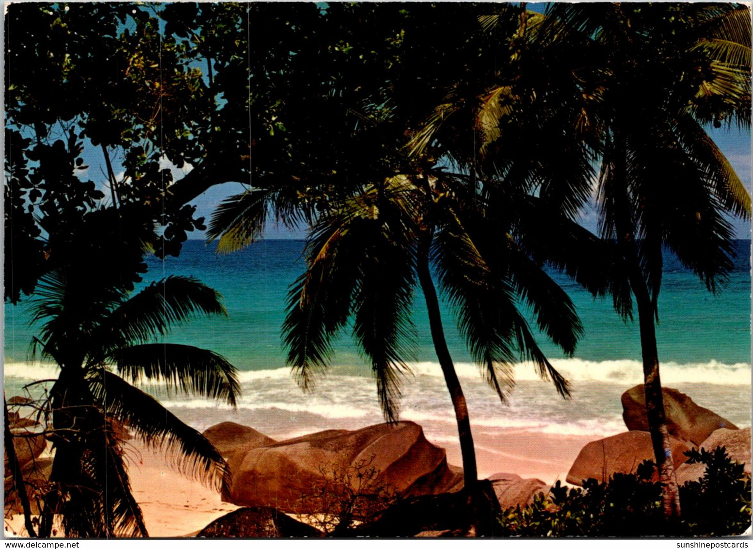 Australia Beach Scene Near Cape Tribulation North Of Cairns - Cairns