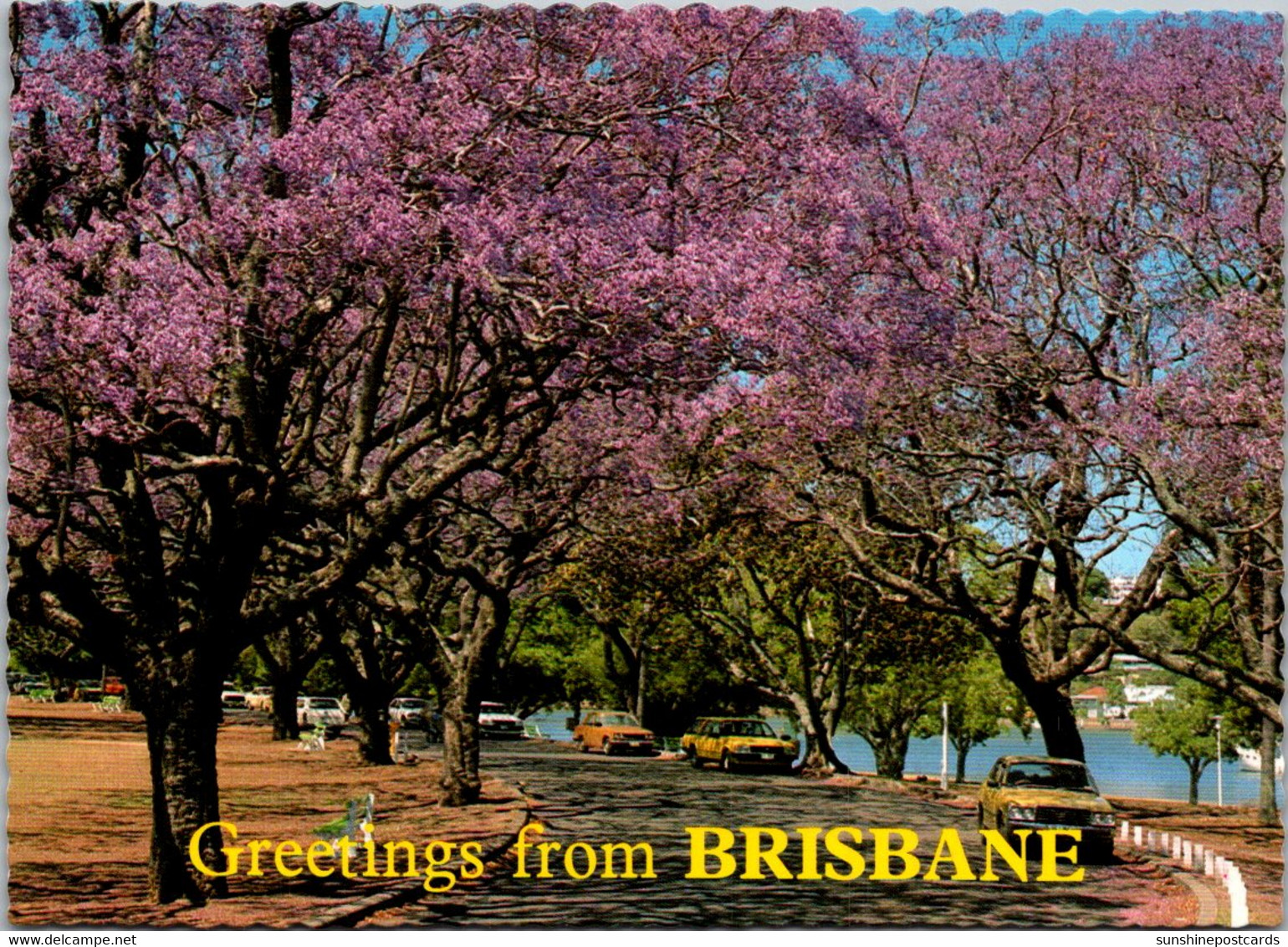 Australia Brisbane Greetings With New Farm Park Jacaranda Trees In Bloom - Brisbane