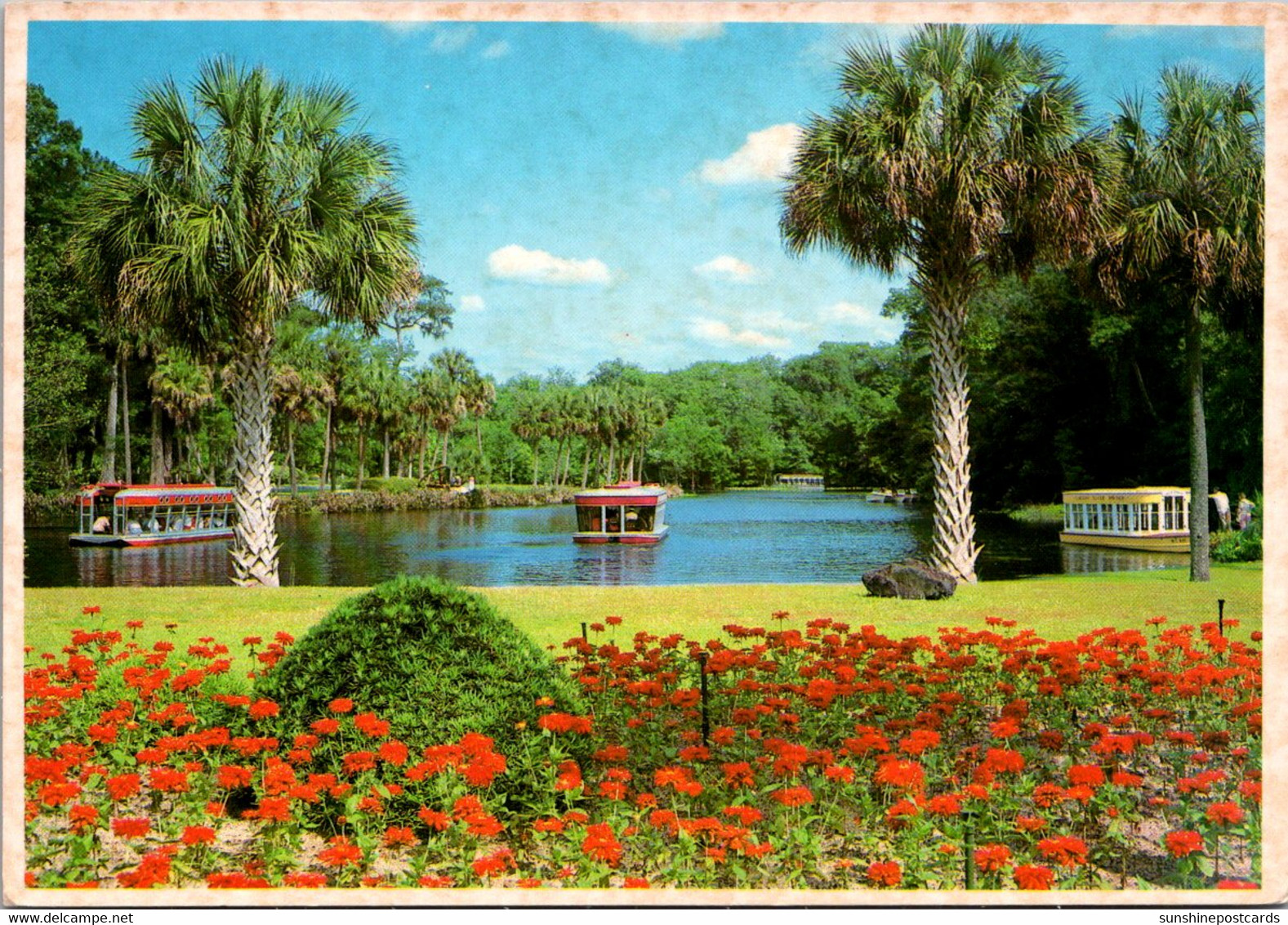 Florida Silver Springs Glass Bottom Boats - Silver Springs