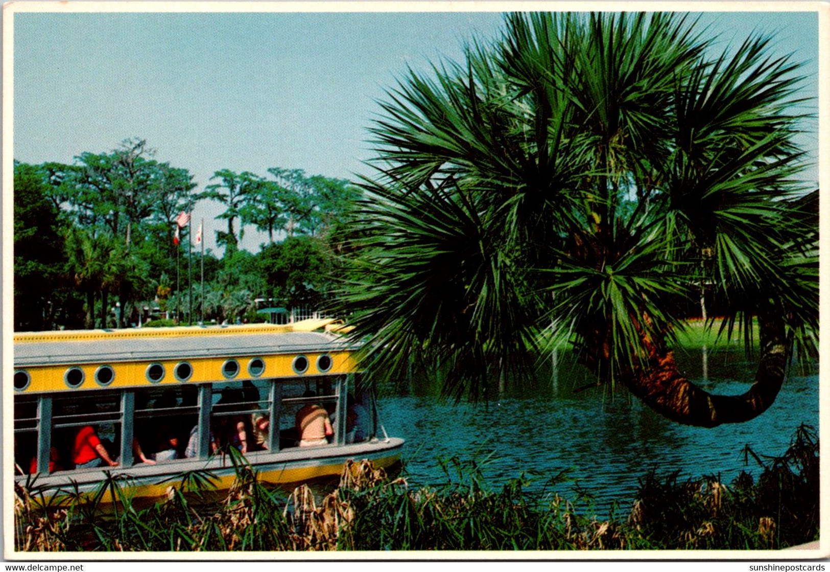 Florida Silver Springs Glass Bottom Boat And Horseshoe Palm - Silver Springs