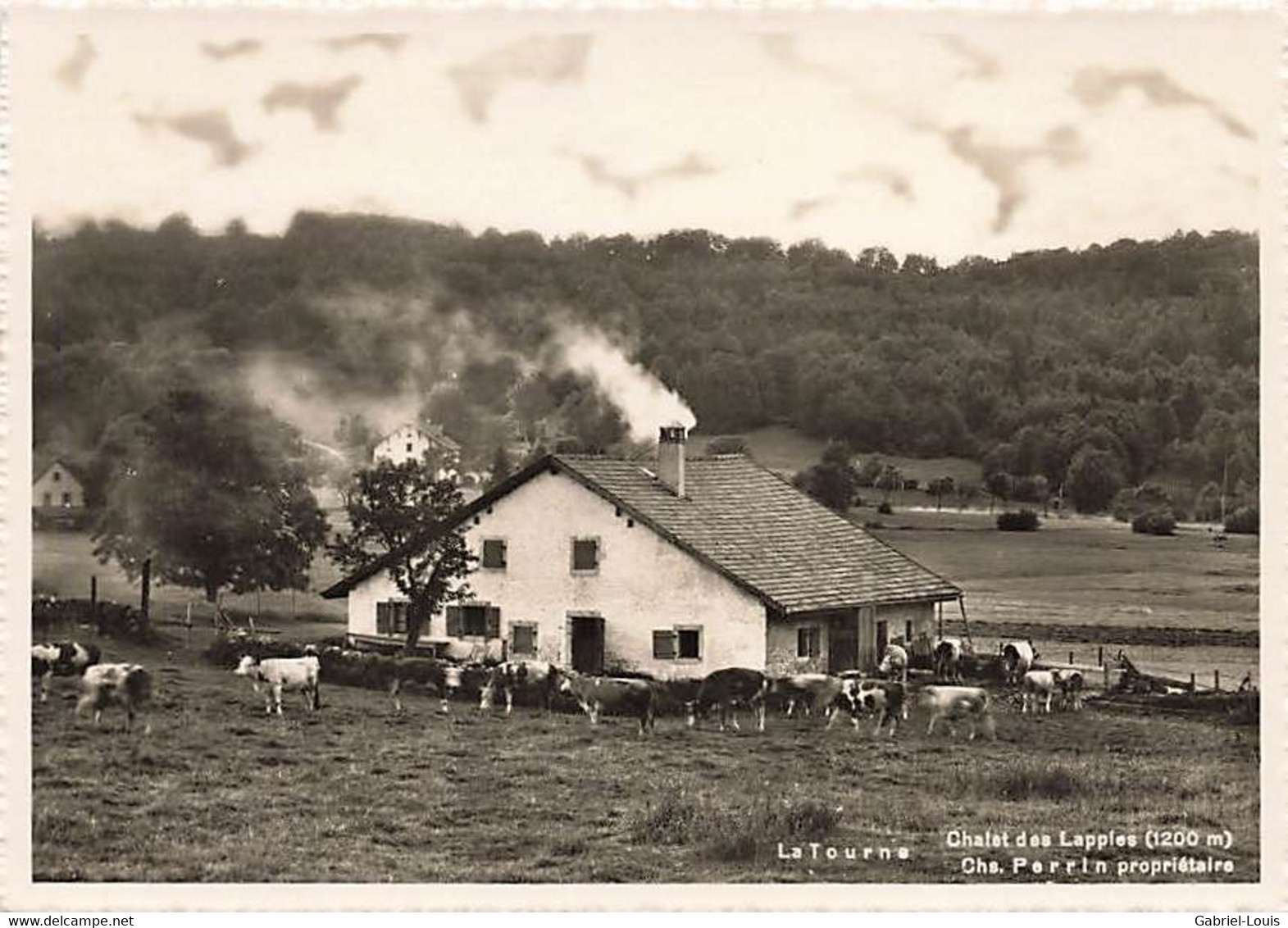 La Tourne Chalet Des Lapples Perrin Propriétaire Rochefort Animée Vaches Hôtel De  (10 X 15 Cm) - Rochefort