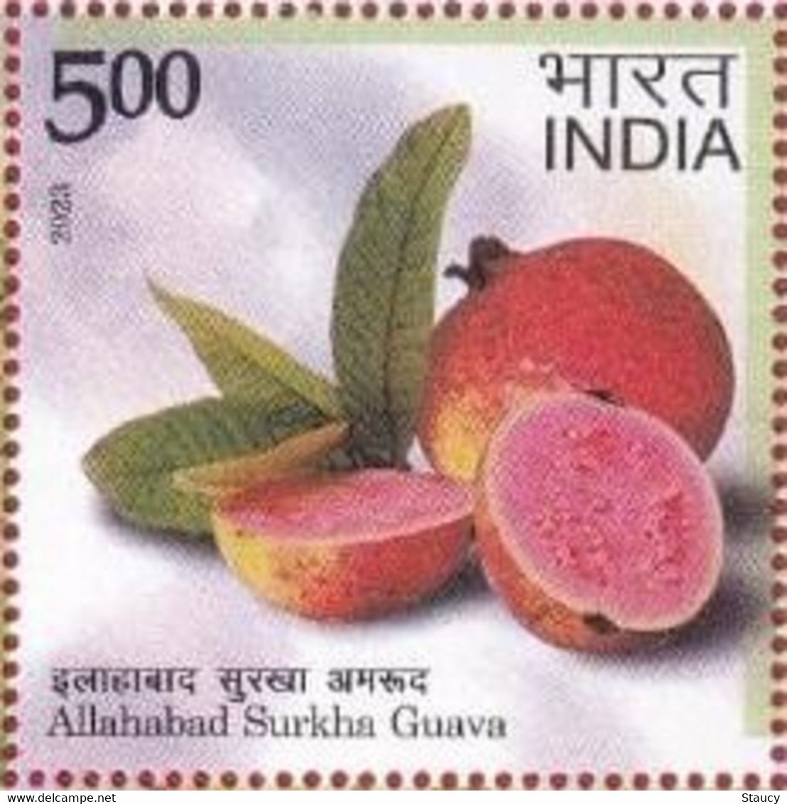 India 2023 Agricultural Goods Of India -- Geographical Fruit - Allahabad Surkha Guava 1v Rs.5.00 Stamp MNH As Per Scan - Agriculture