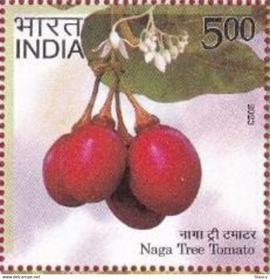 India 2023 Agricultural Goods Of India -- Geographical Fruit - Naga Tree Tomato 1v Rs.5.00 Stamp MNH As Per Scan - Agriculture