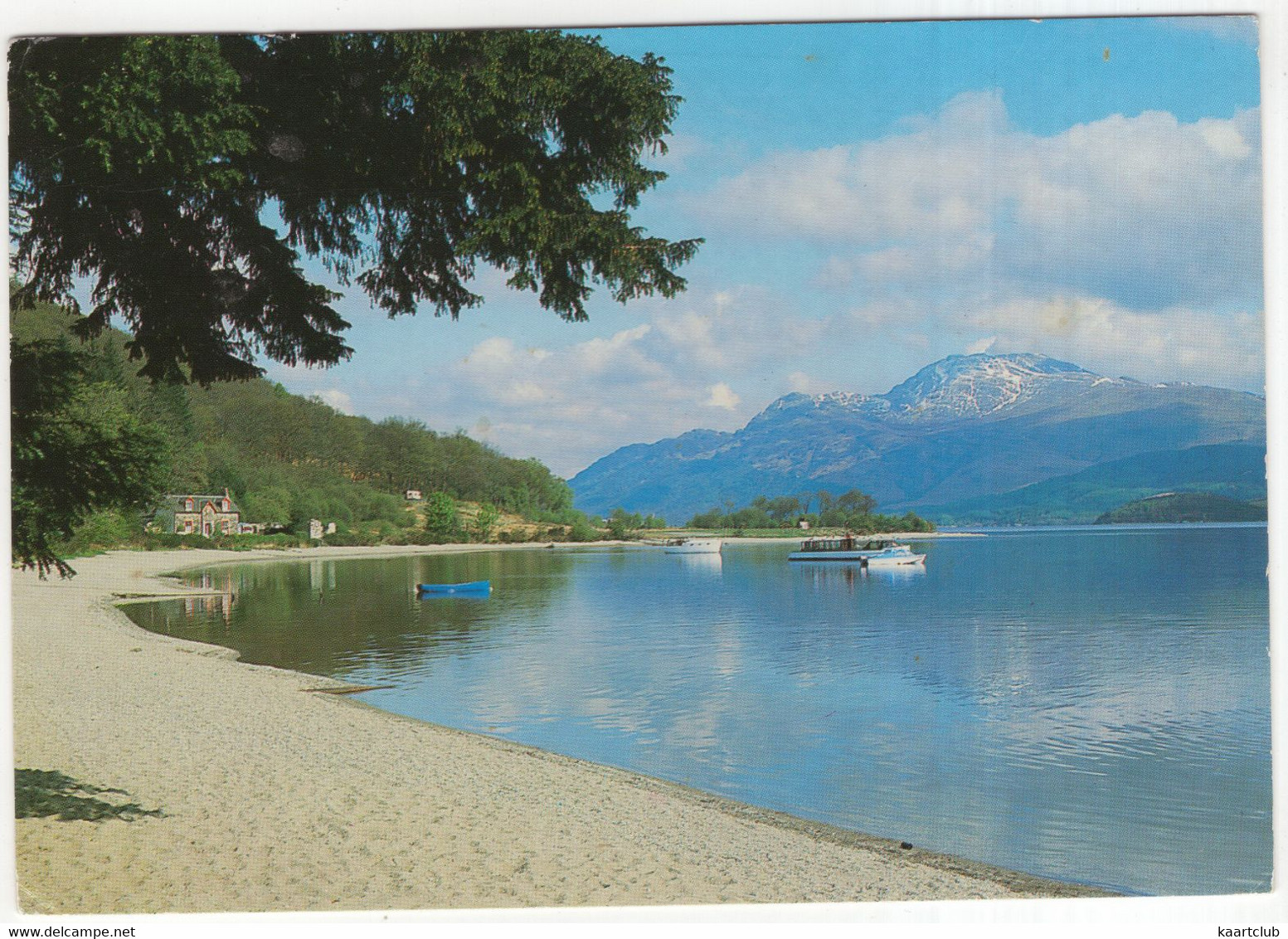 Beach Around Loch Lomond, Looking Towards Ben Lomond - (Scotland) - 'Whiteholme Of Dundee' Postcard - Perthshire