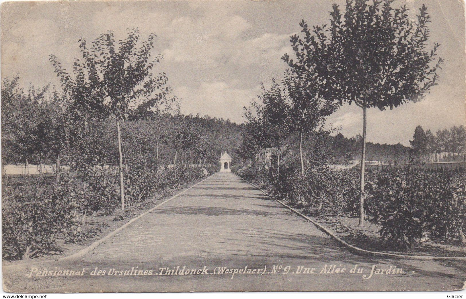 Pensionnat Des Ursulines - Thildonck - Wespelaar - N° 9 - Une Allée Du Jardin - Haacht