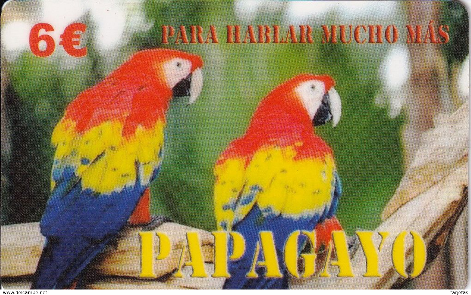 TARJETA DE ESPAÑA DE UNOS PAPAGAYOS LETRAS ROJAS (LORO-PARROT) - Loros