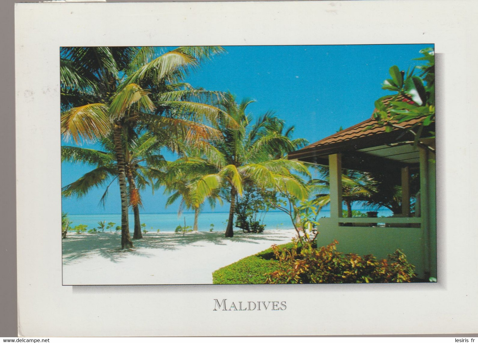 C.P. - PHOTO - MALDIVES - A RESORT BUNGALOW SURROUNDED BY VEAUTIFUL COCONUT AND TROPICAL PLANTS - MA 21 - SUN FRONT - Maldivas