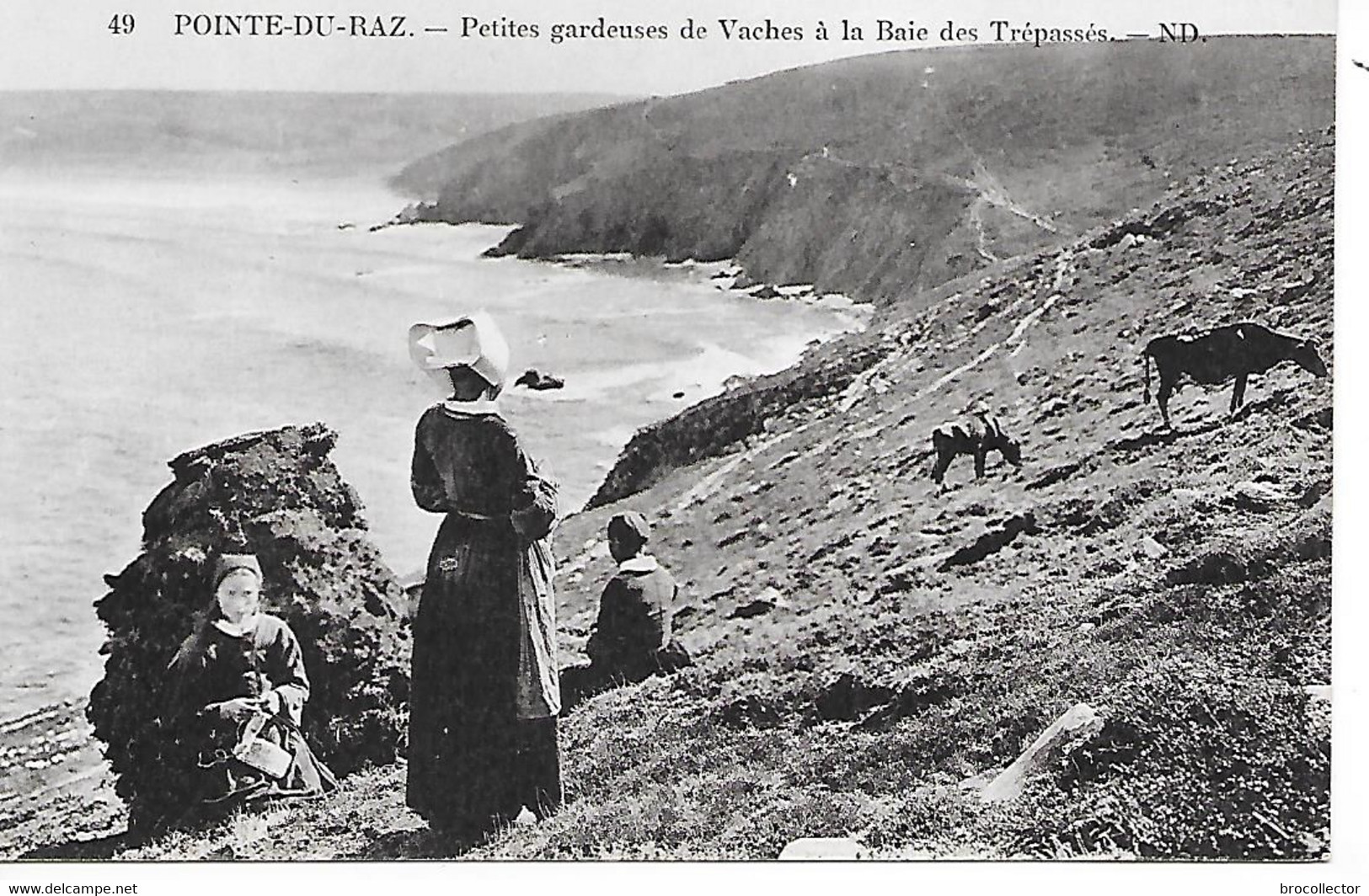 PLOGOFF ( 29 ) -  Gardeuse De Vaches à La Baie Des Trépassés - Plogoff