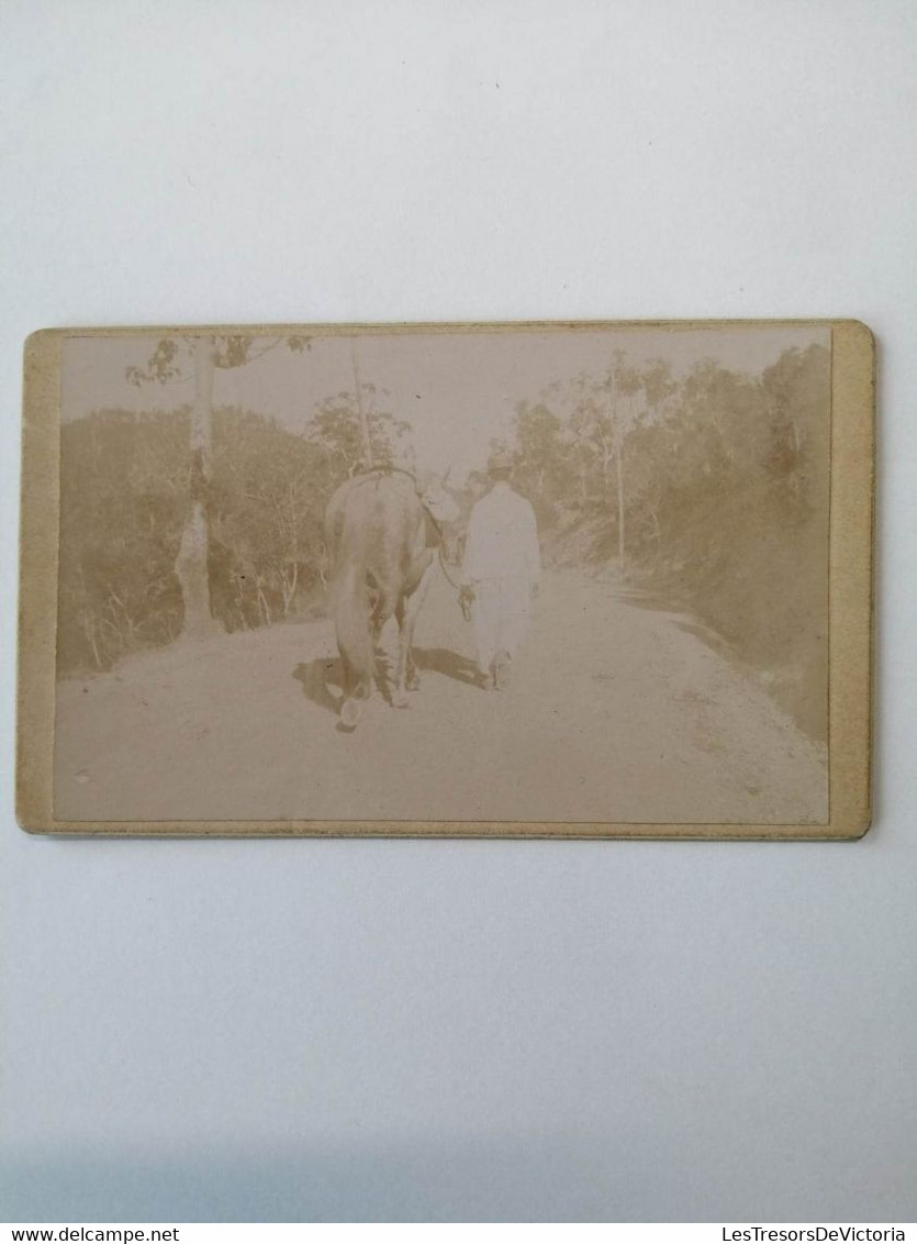 Photographie - Fourcade - Au Col De Tongoué - Le 24 Décembre 1900 - Nouvelle Caledonie - Unclassified
