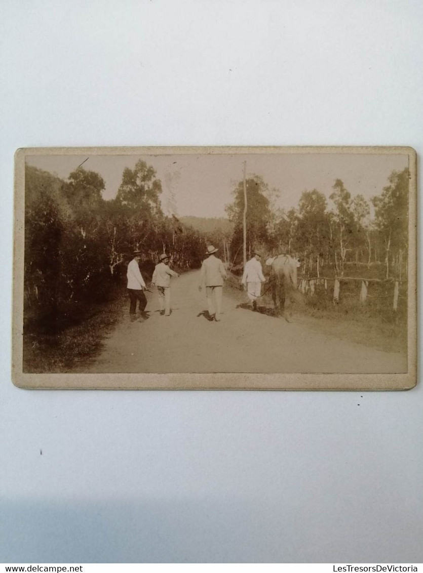 Photographie - La Descente Du Col De Tongoué - Le 29 Décembre 1900 - Cheval - Nouvelle Caledonie - Non Classés