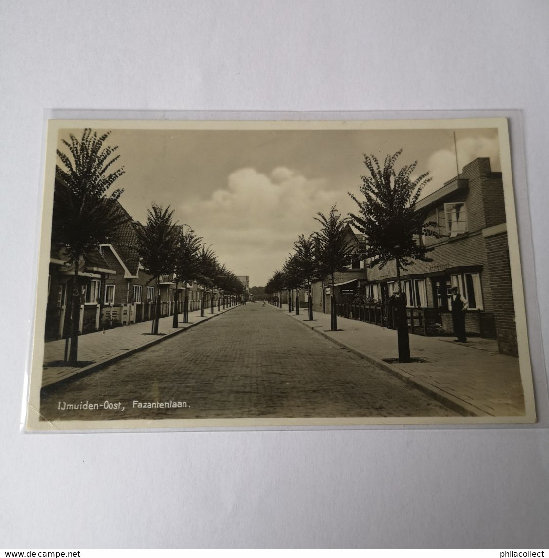 IJmuiden - Oost // Fazantenlaan 1936 - IJmuiden