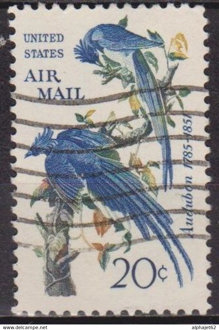 Faune, Oiseaux - ETATS UNIS - Pies Du Mexique - N° 67 - 1967 - 2a. 1941-1960 Oblitérés