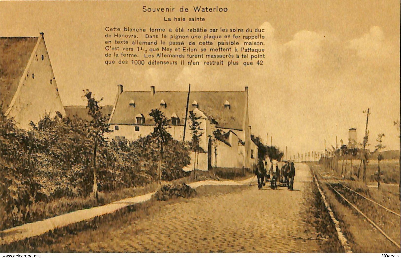 Belgique - Brabant Wallon - Waterloo -Souvenir De Waterloo - La Haie Sainte - Waterloo