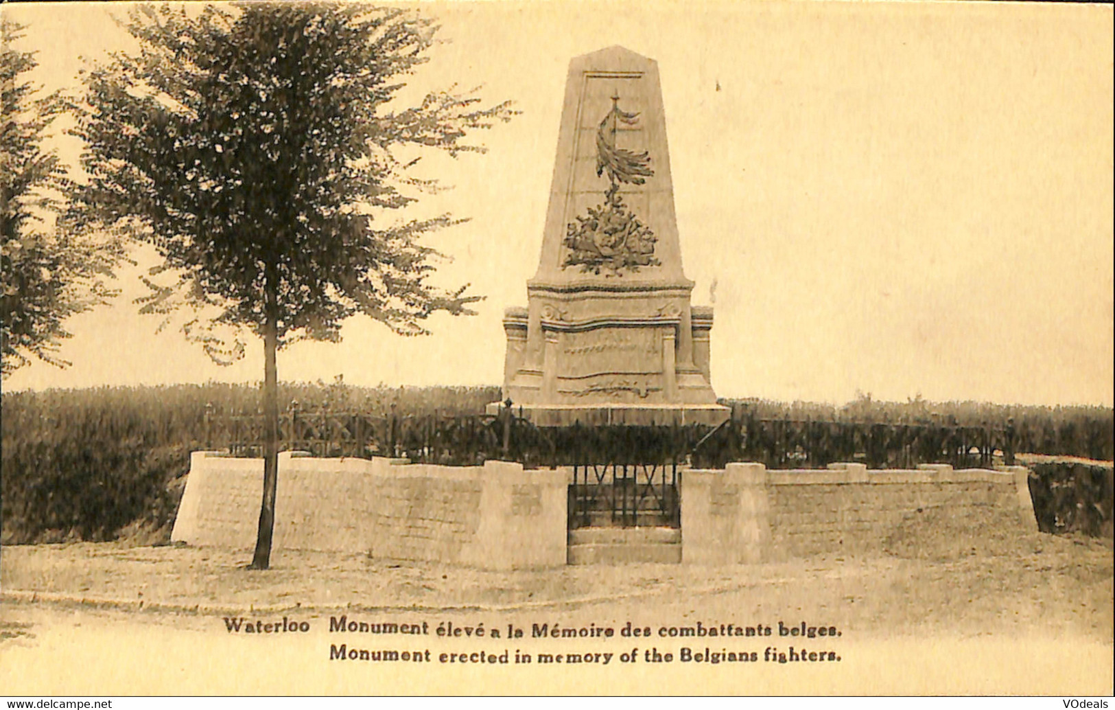 Belgique - Brabant Wallon - Waterloo - Monument élevé A La Mémoire Des Combattants Belges - Waterloo