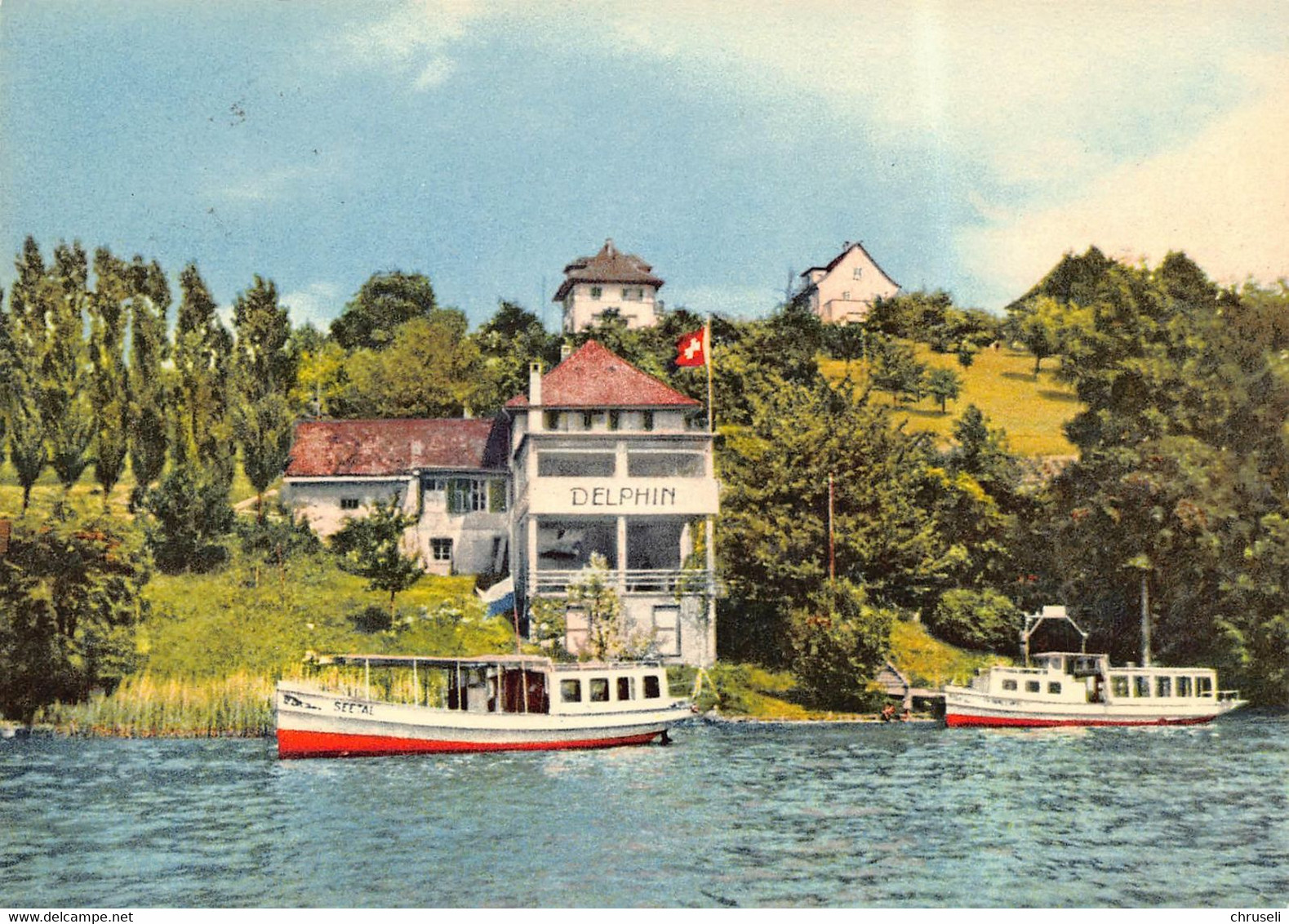 Meisterschwanden Halwilersee Hotel Delphin Schiffe Gaberell Karte - Meisterschwanden