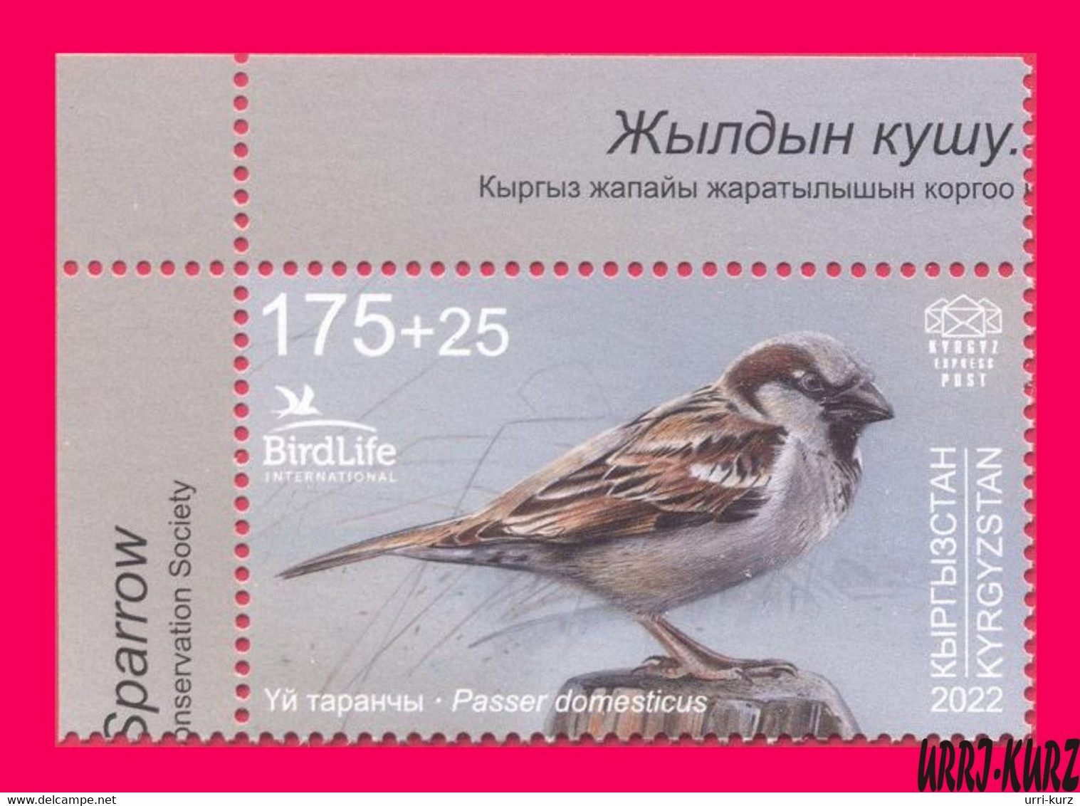 KYRGYZSTAN 2022-2023 Nature Fauna Birds Bird Of Year House Sparrow 1v Mi KEP 188 MNH - Spatzen