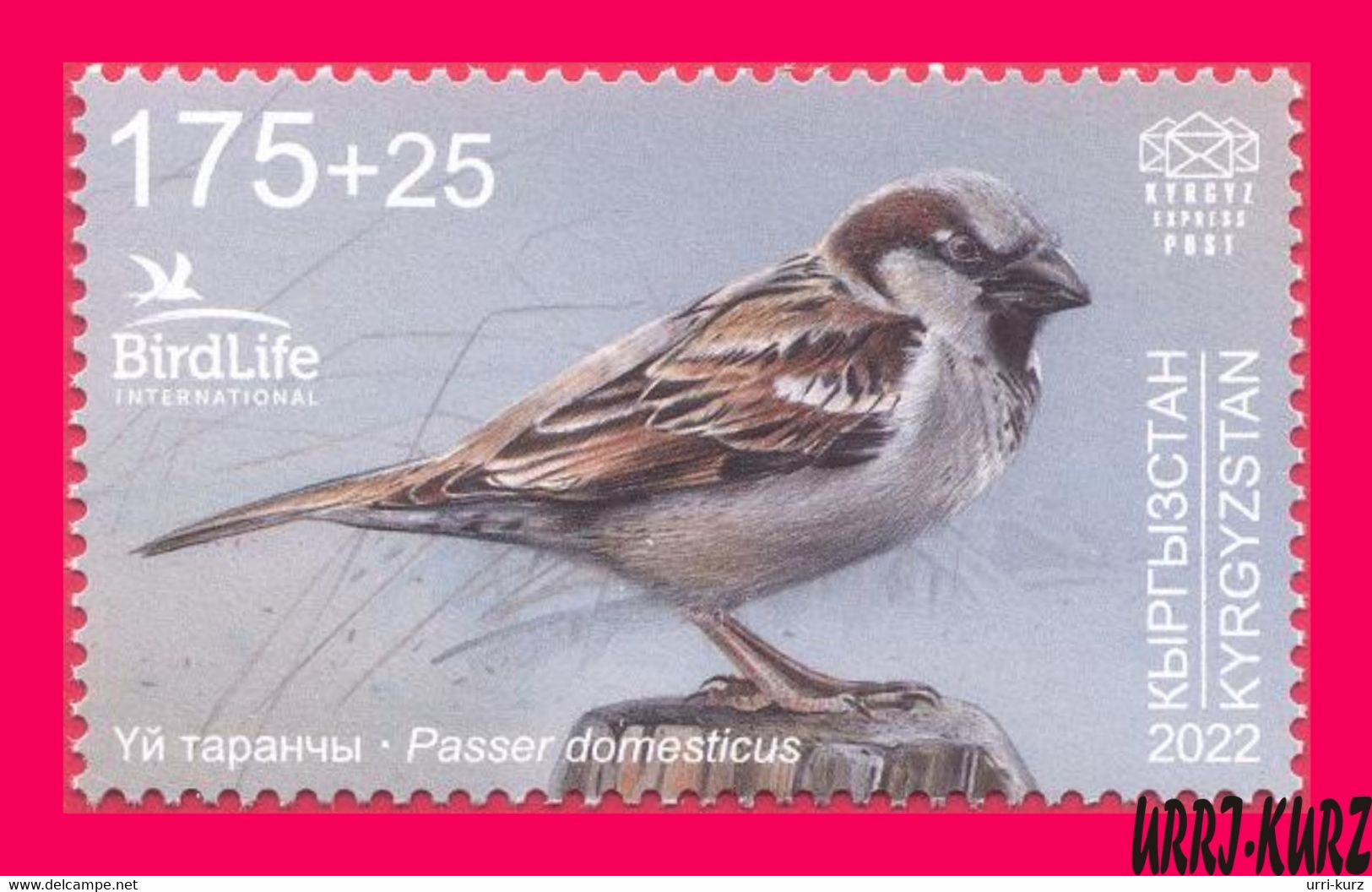 KYRGYZSTAN 2022-2023 Nature Fauna Birds Bird Of Year House Sparrow 1v Mi KEP 188 MNH - Spatzen