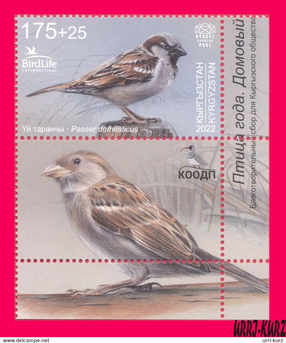 KYRGYZSTAN 2022-2023 Nature Fauna Birds Bird Of Year House Sparrow 1v+ Mi KEP 188 MNH - Sparrows