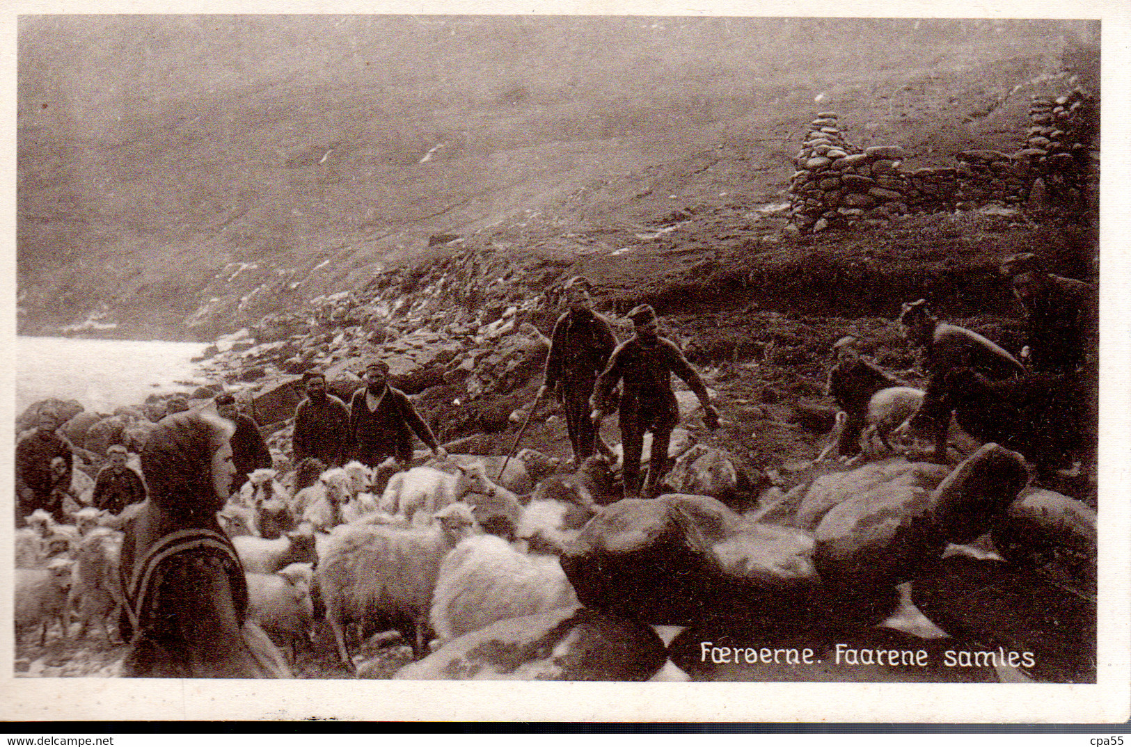 Foeroerne  -  Faarene Samles - Féroé (Iles)