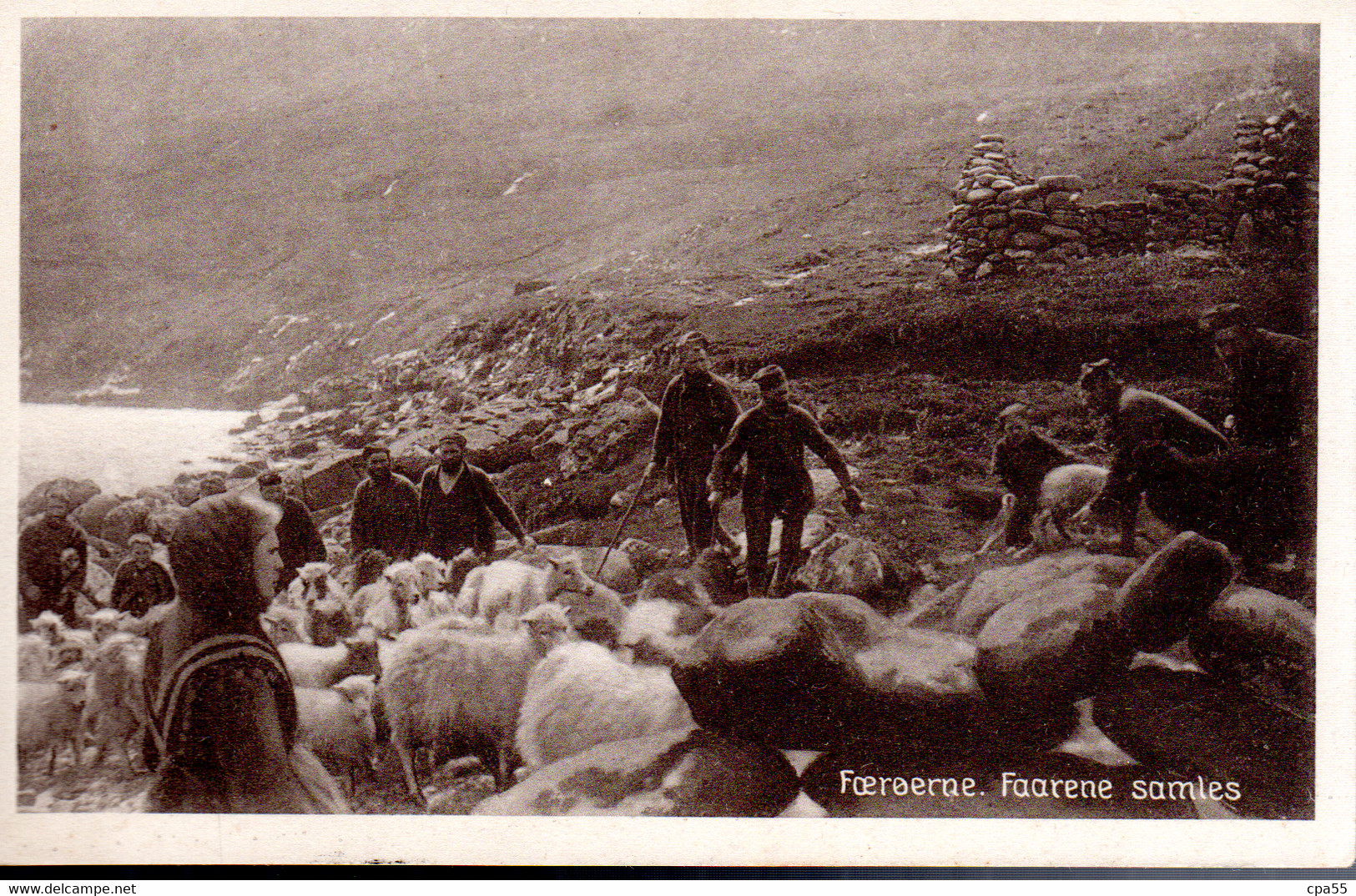 Foeroerne  -  Faarene Samles - Faroe Islands