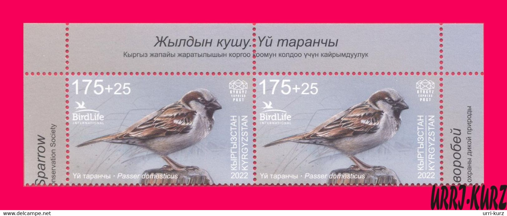 KYRGYZSTAN 2022-2023 Nature Fauna Birds Bird Of Year House Sparrow Pair Mi KEP 188 MNH - Cernícalo