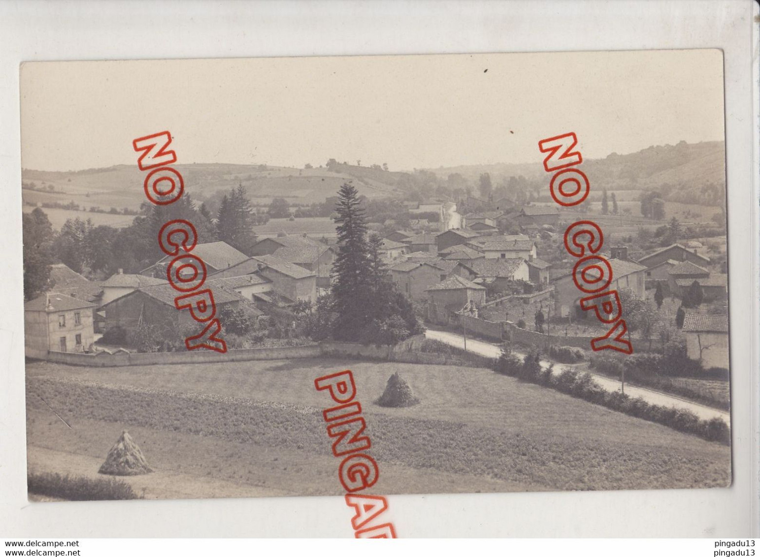 Au Plus Rapide Carte Photo Châtonnay Isère Vue Générale Non Circulé Circulé Excellent état - Châtonnay