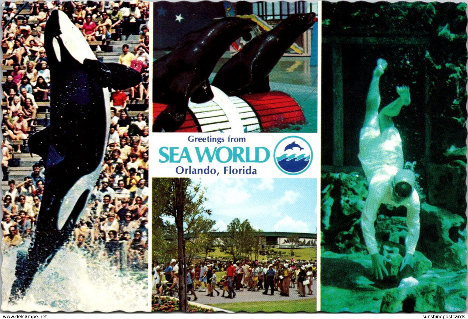 Florida Orlando Sea World Greetings With Multi View - Orlando