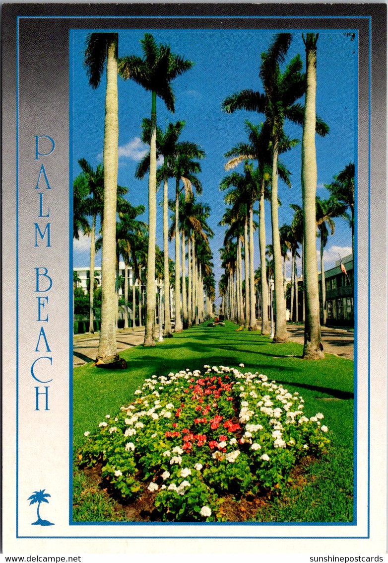 Florida Palm Royal Palm Way - Palm Beach