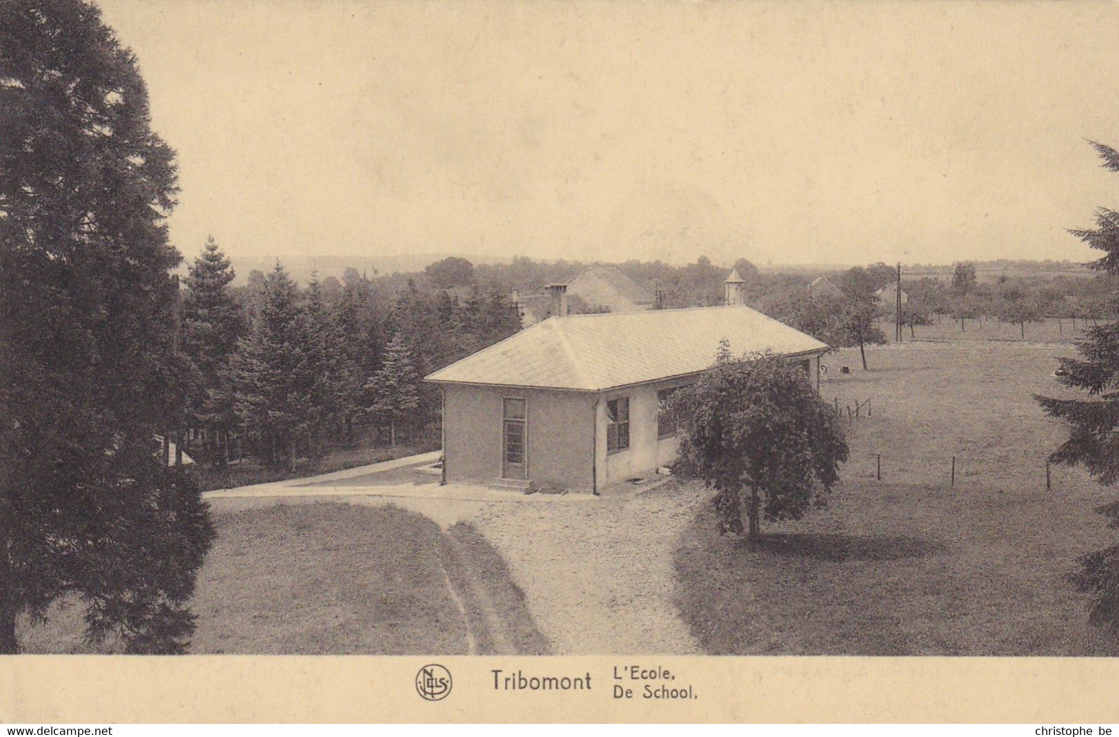 Tribomont, L'Ecole (pk85118) - Herve